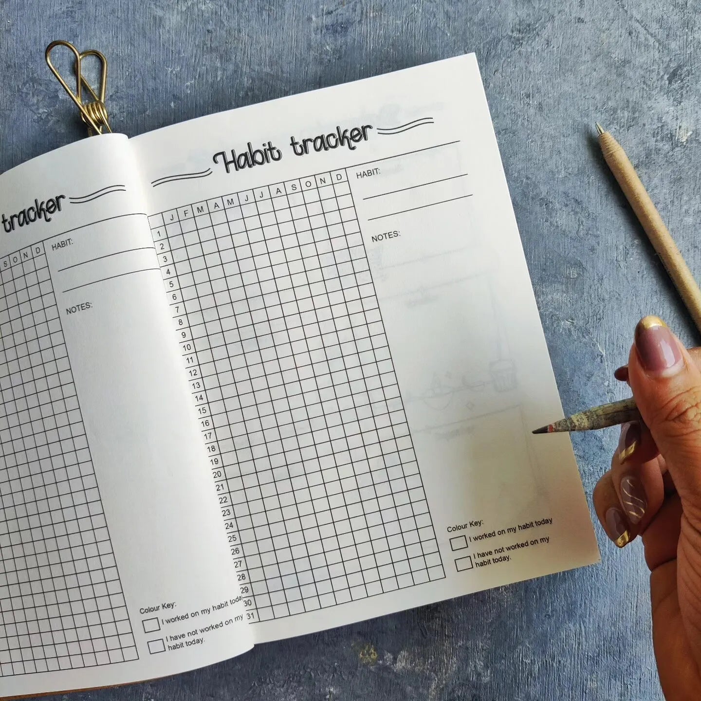 My Daily Planner – 12 Month Undated