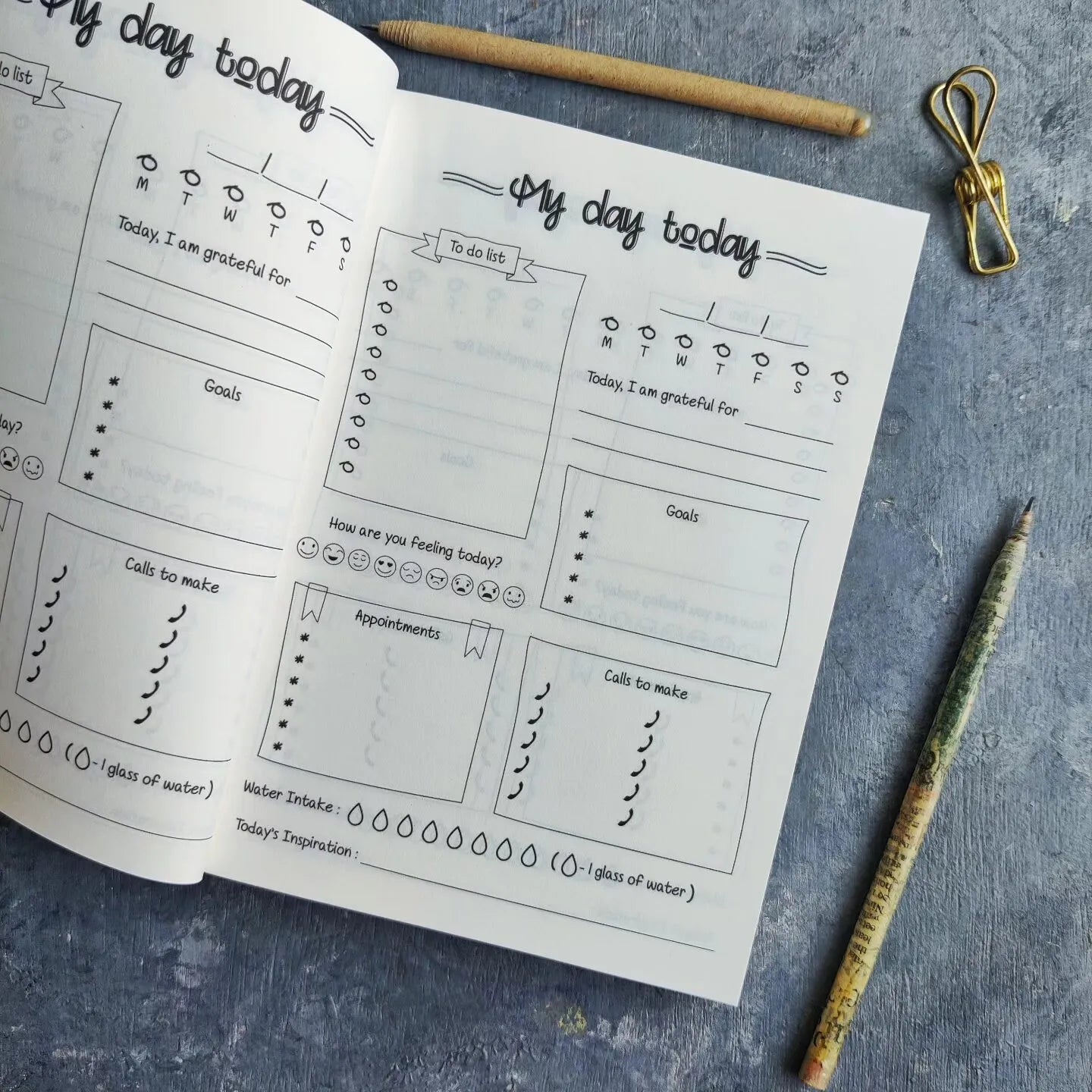 My Daily Planner – 12 Month Undated